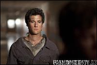 003 (595x397, 30 k�...)